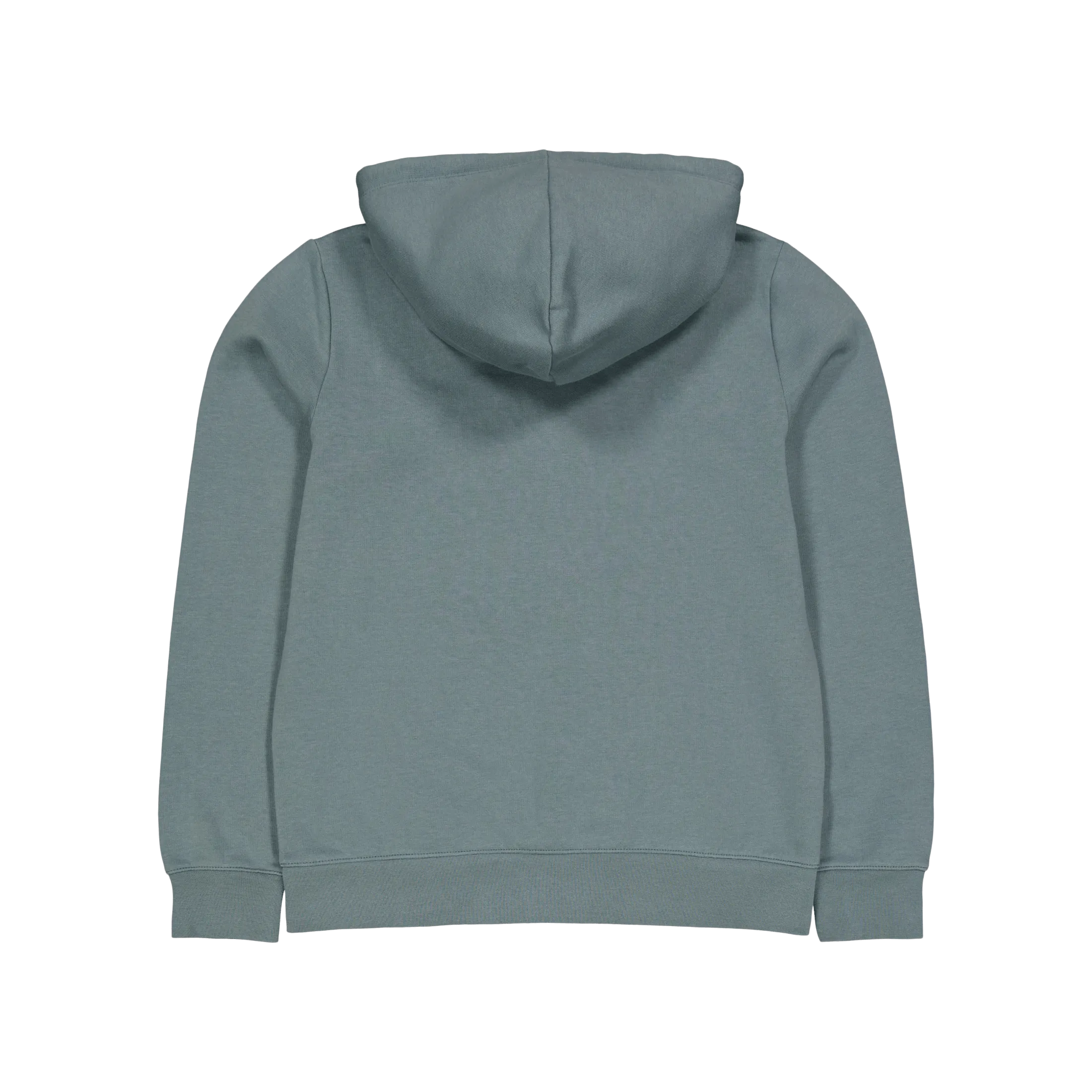 Champion Hooded Sweatshirt Balsamo Green