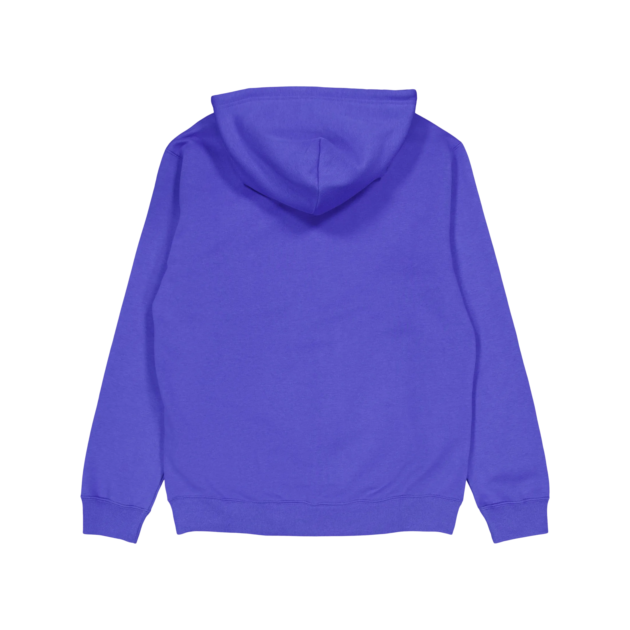 Champion Hooded Sweatshirt Dazzling Blue