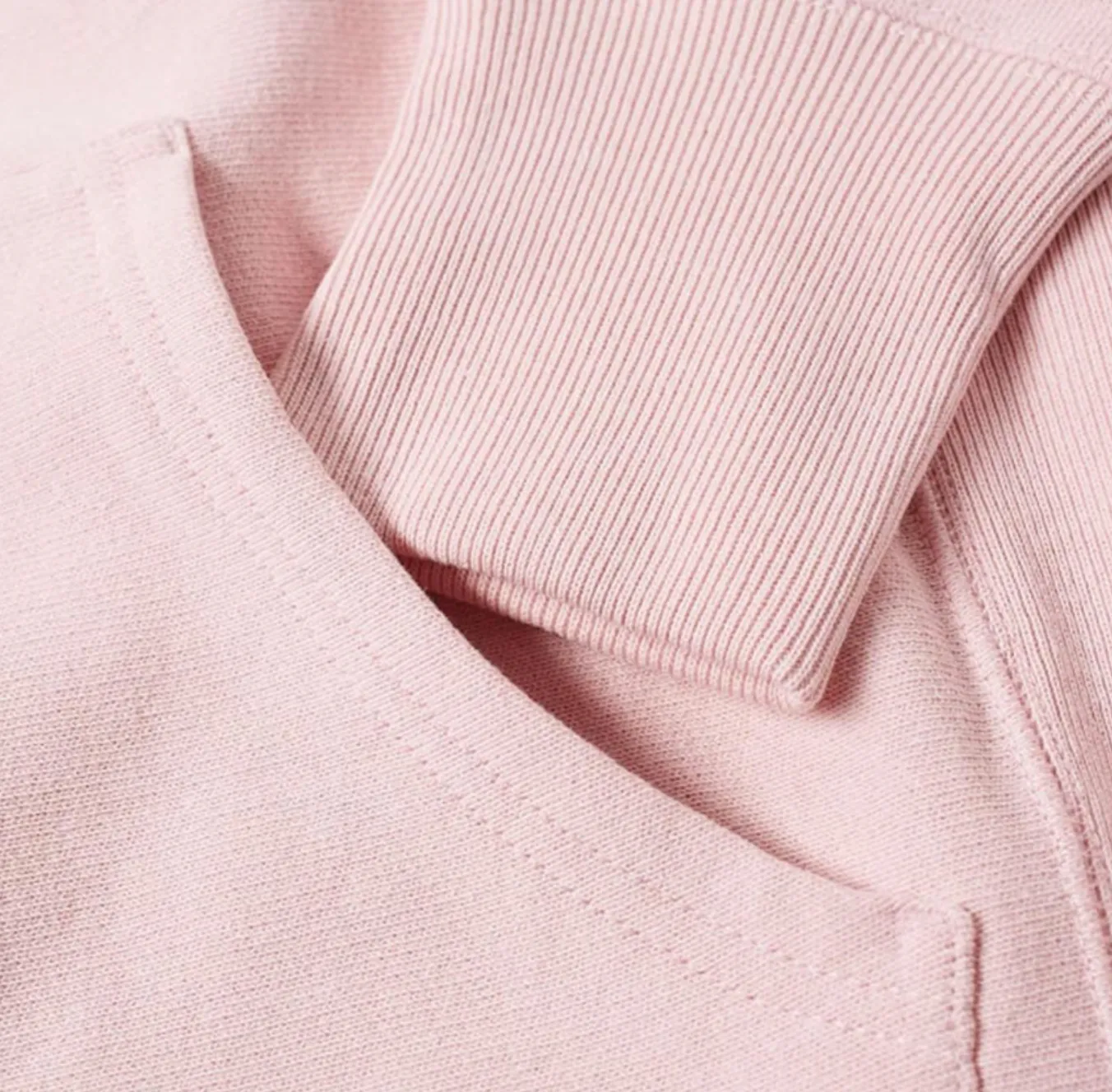 Champion Hooded Sweatshirt Pink