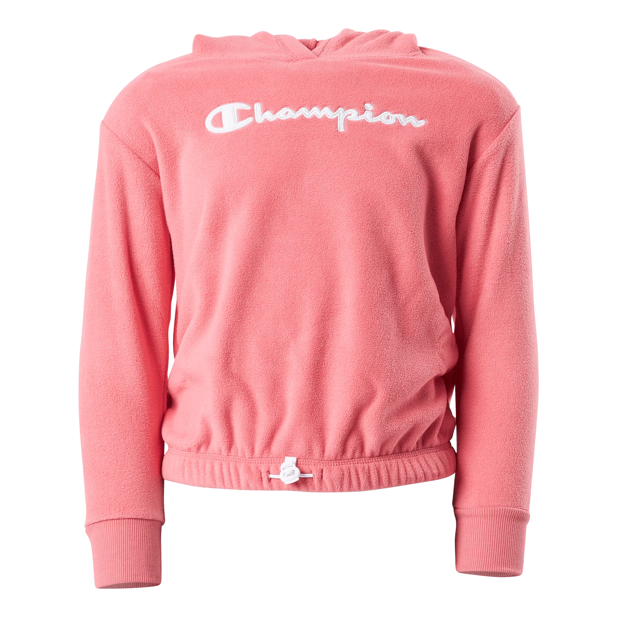 Champion Hooded Sweatshirt Ps171