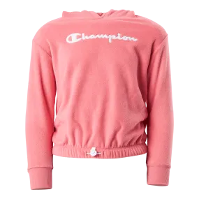 Champion Hooded Sweatshirt Ps171