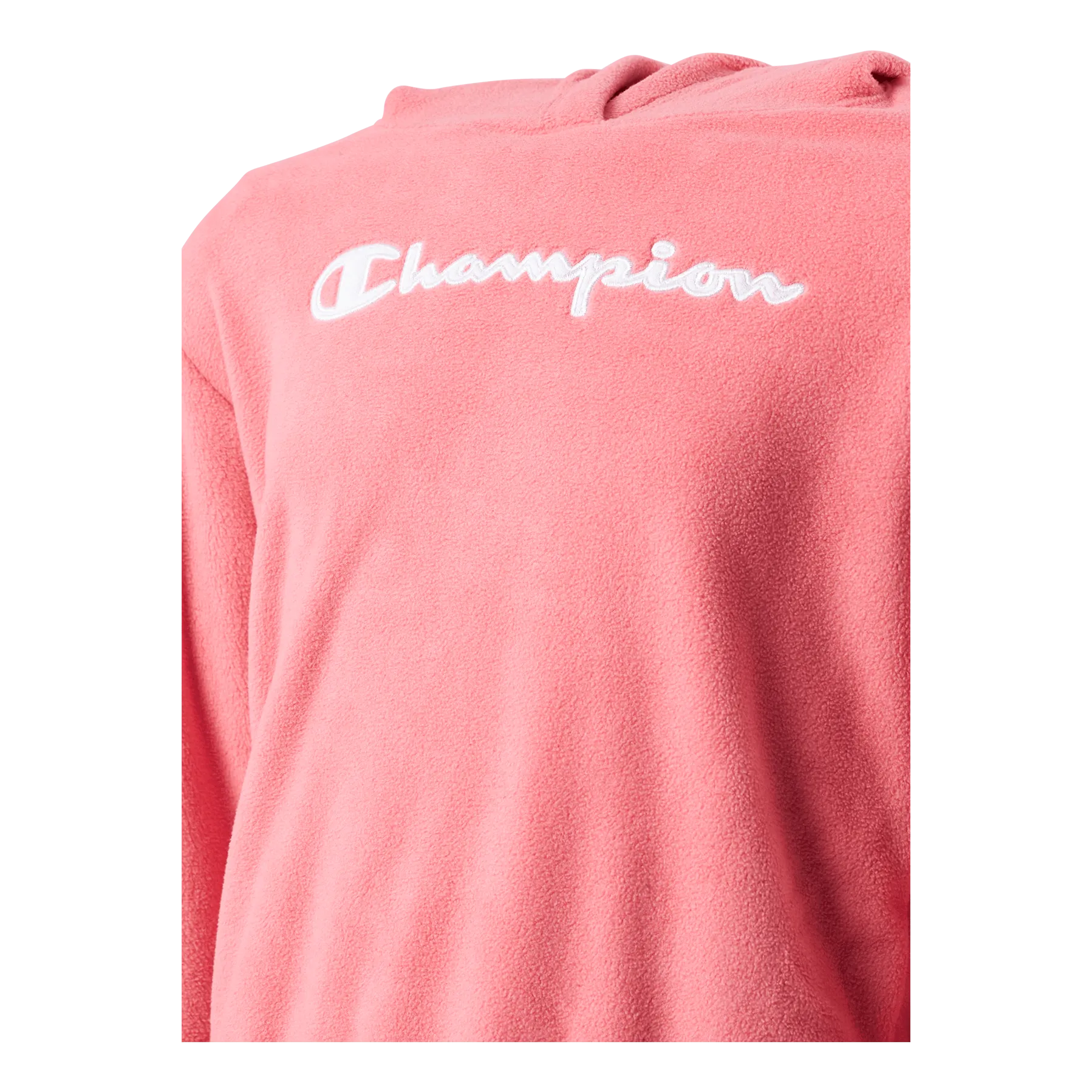 Champion Hooded Sweatshirt Ps171