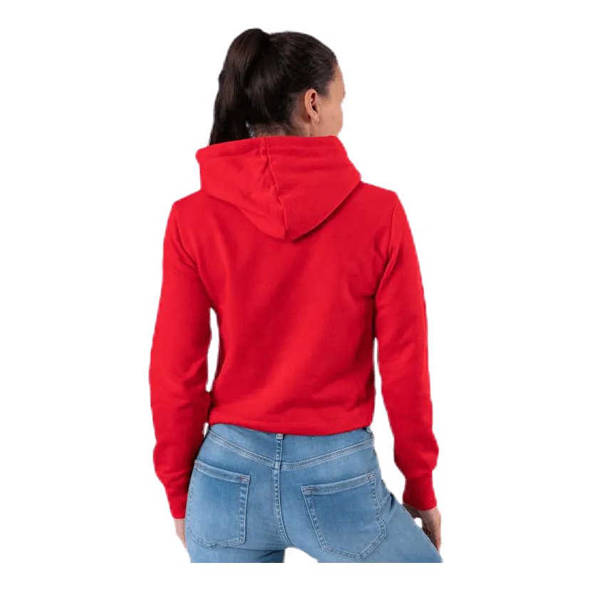 Champion Hooded Sweatshirt Red