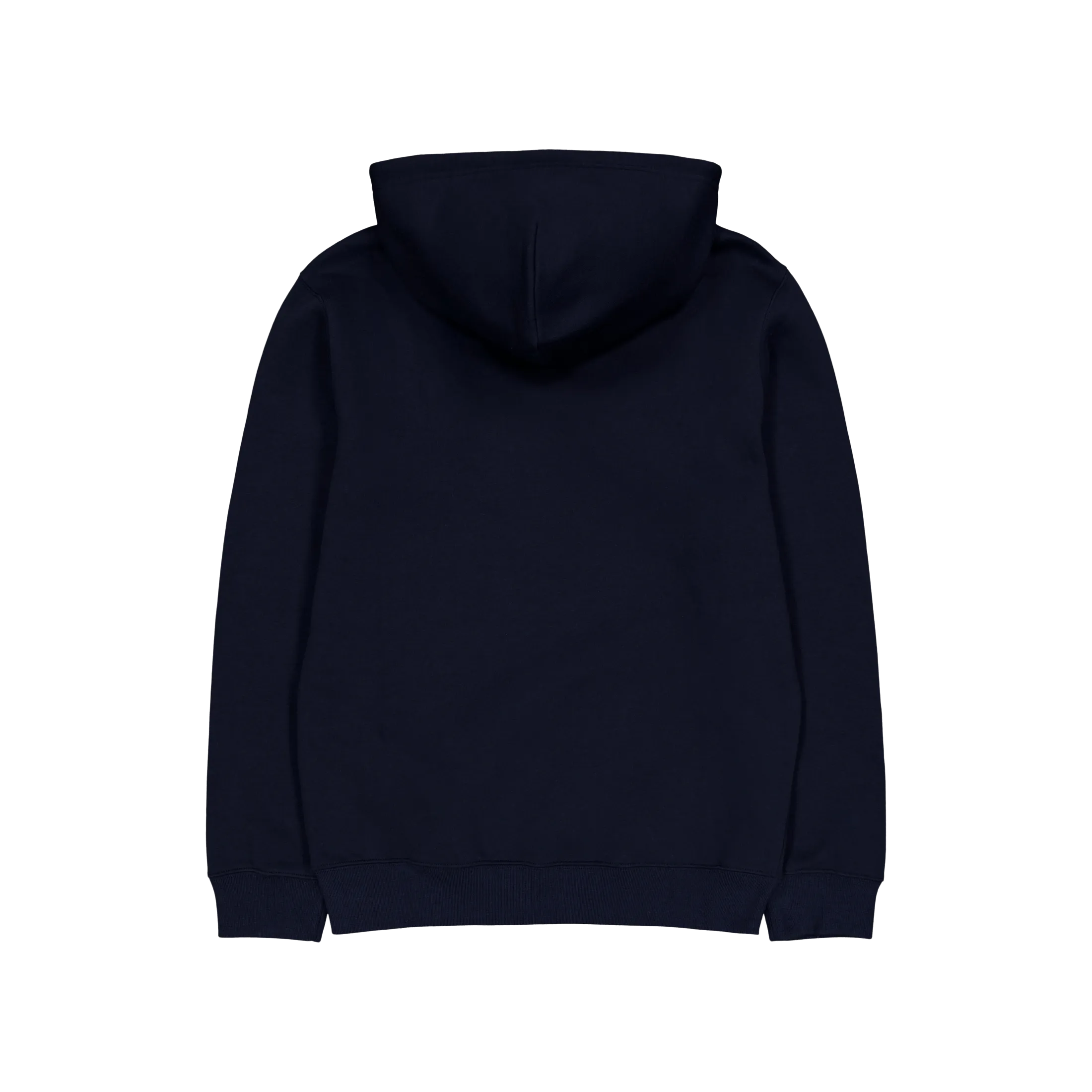 Champion Hooded Sweatshirt Sky Captain