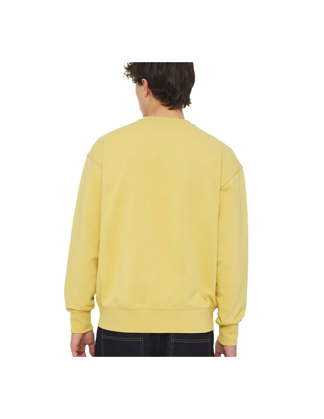 DICKIES MILLERBURG SWEATSHIRT FALL LEAF