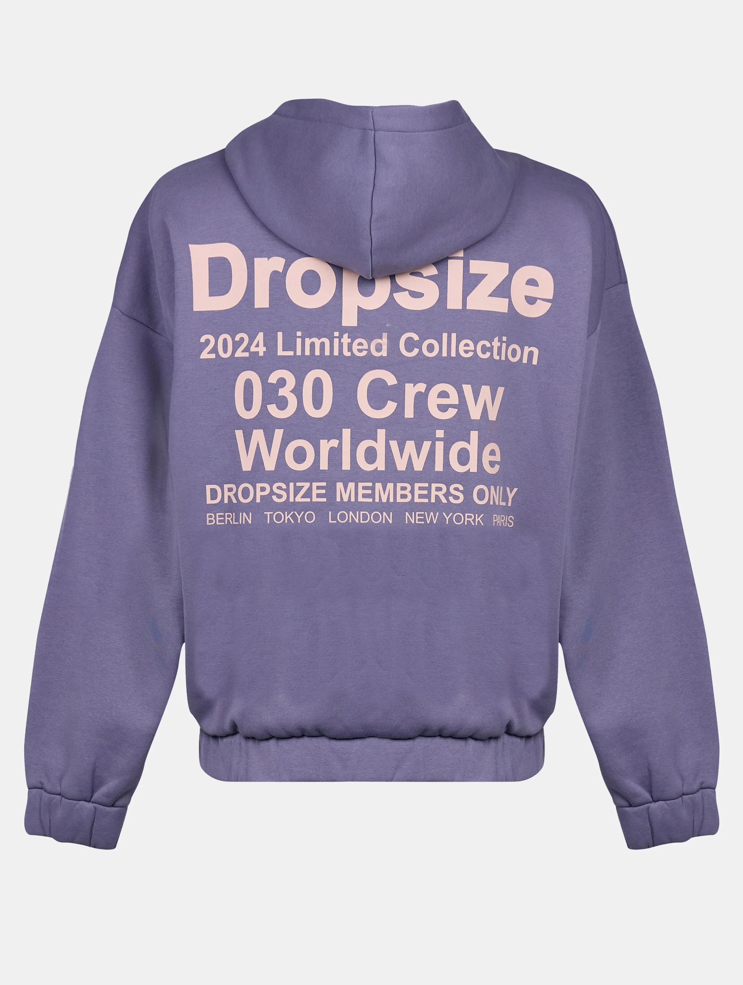 Dropsize Dropsize Heavy Oversize Limited Zip Hoodies