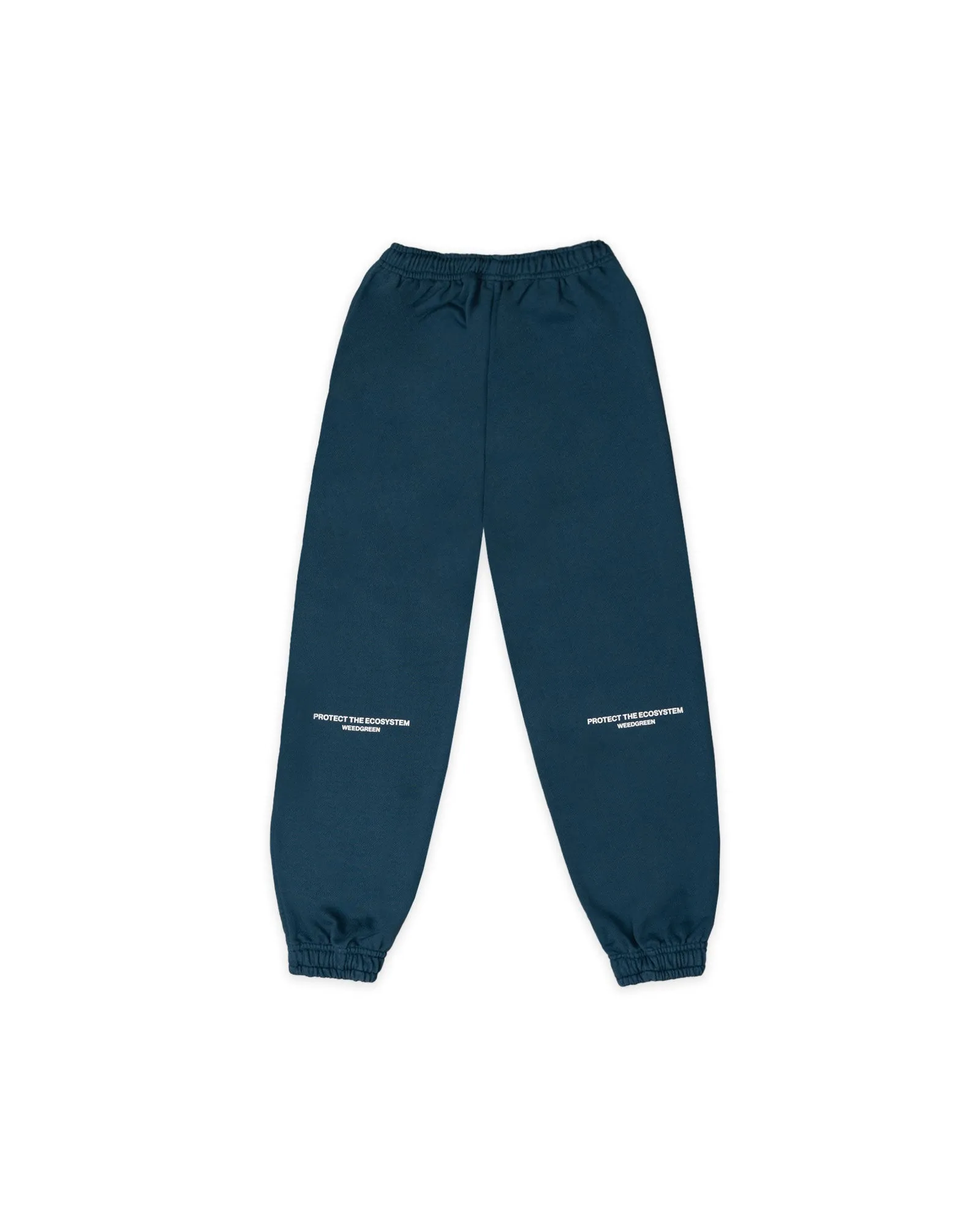 JOGGER  ECOSYSTEM AZUL