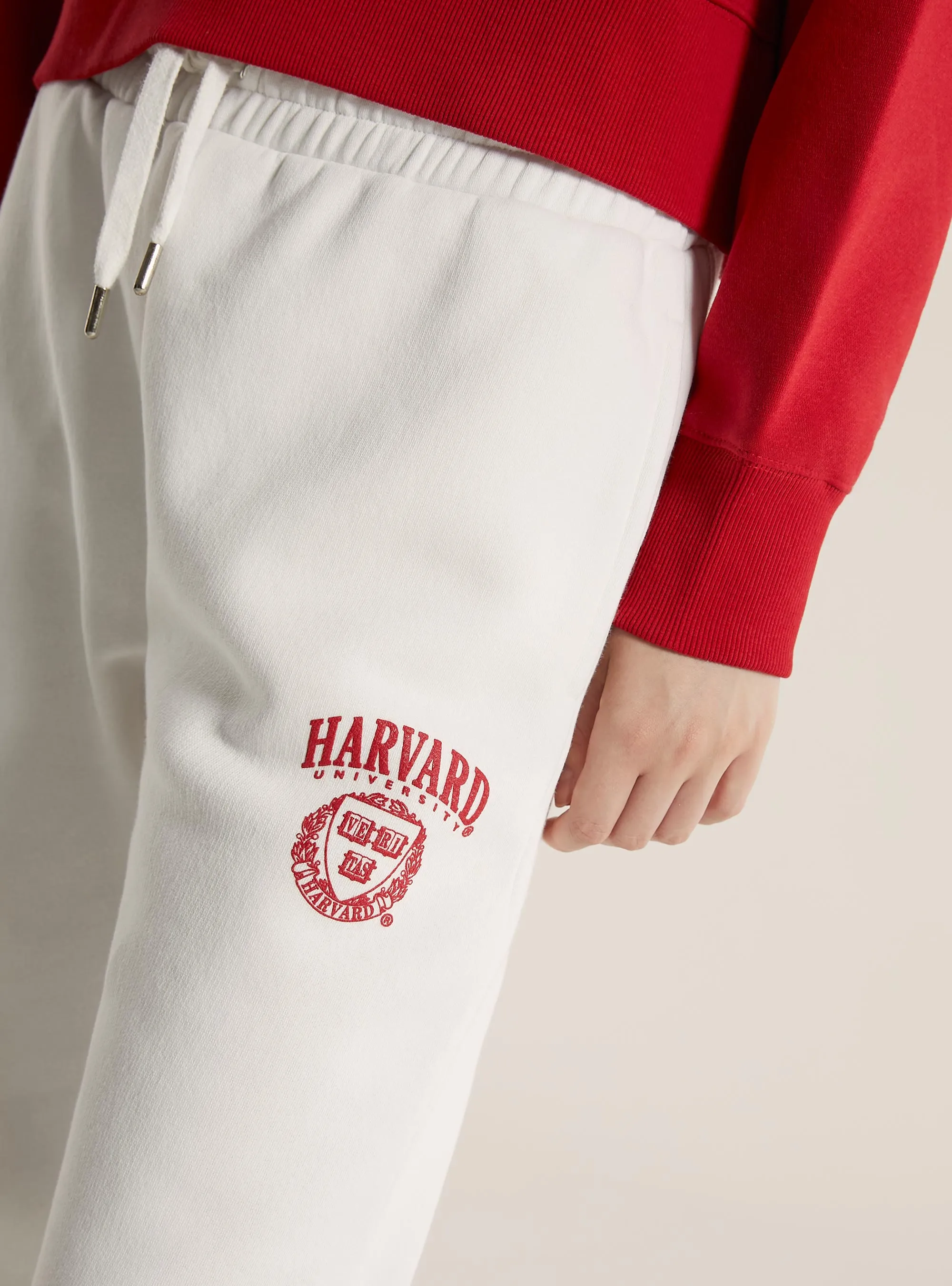 Jogger Harvard / Alcott