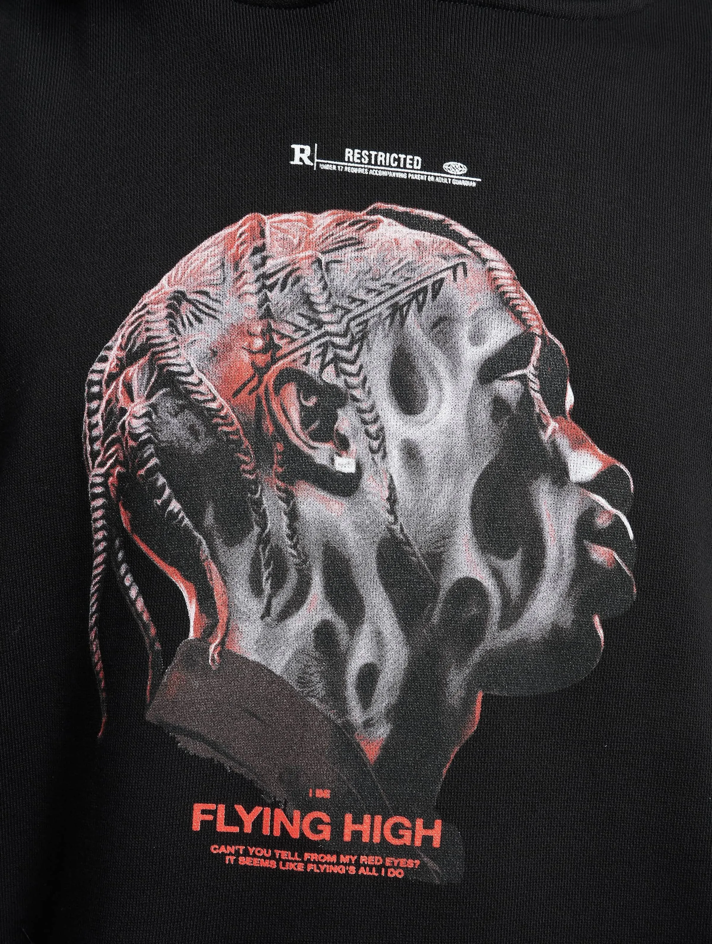 Mister Tee Upscale Flying High Heavy Oversize Hoody