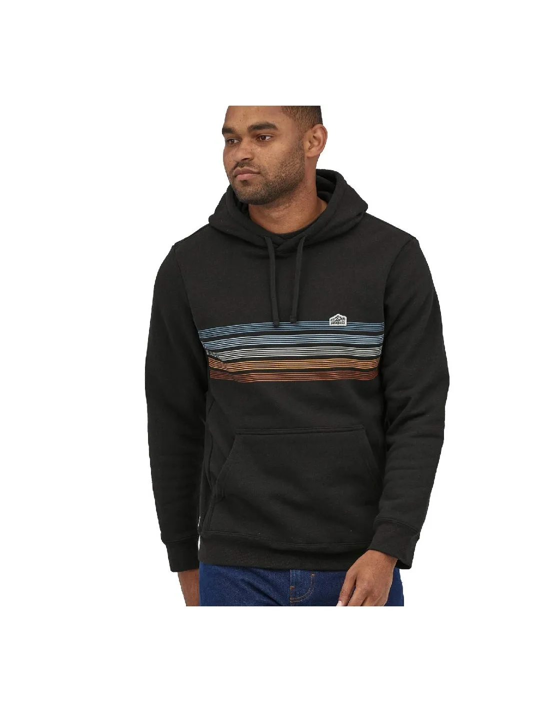 PATAGONIA LINE LOGO RIDGE STRIPE HOODY INK BLACK